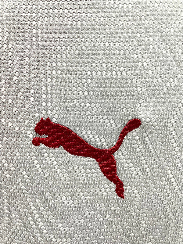 2006-07 Stuttgart Home Puma Jersey
