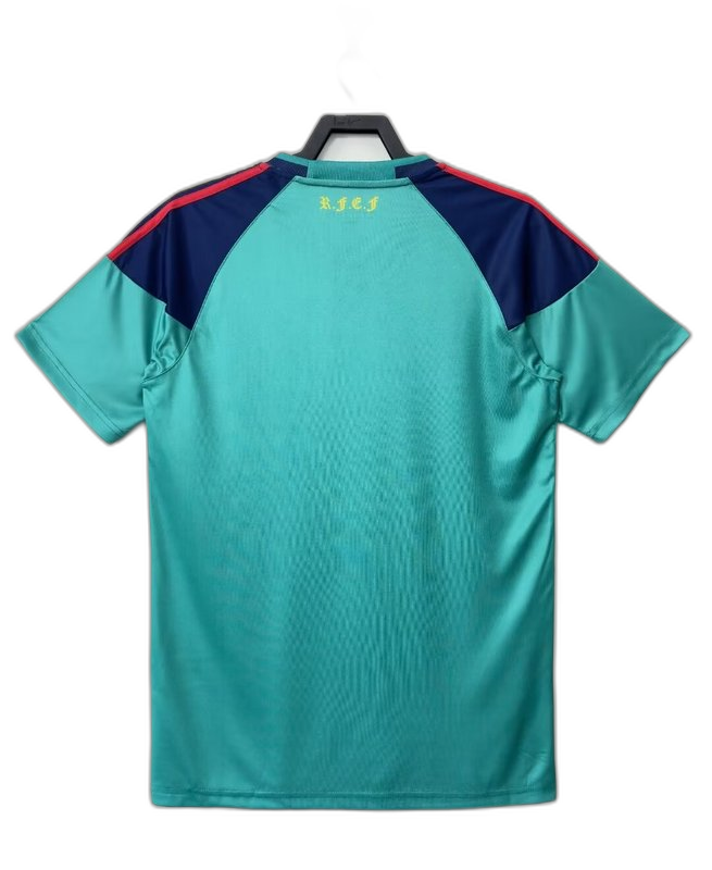 2010 Spain Goalkeeper adidas Jersey
